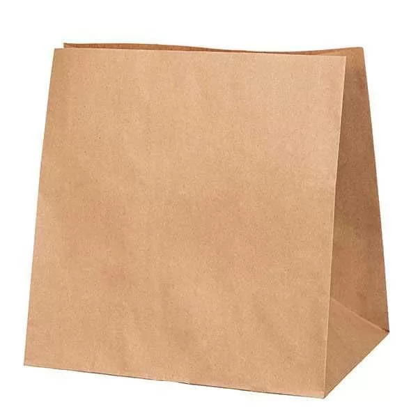 Kraft Taşıma Torbaları