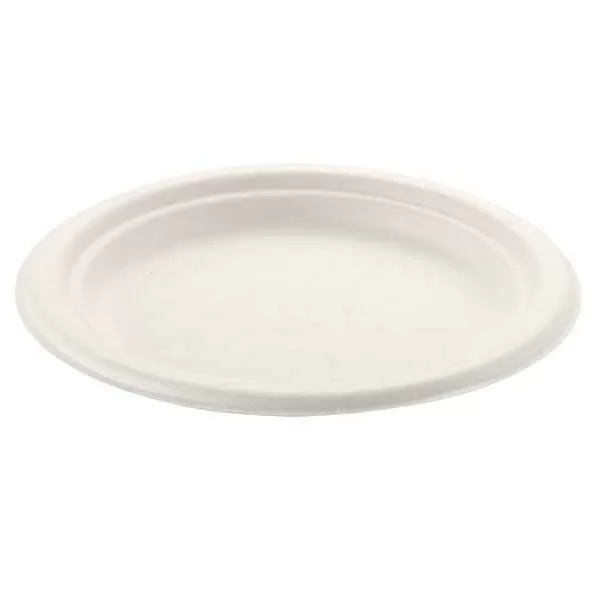 Ekolojik Karton Tabak 22 cm