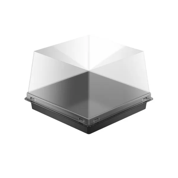 Siyah Taban Kare Pasta Kabı Set 12x12x8 cm